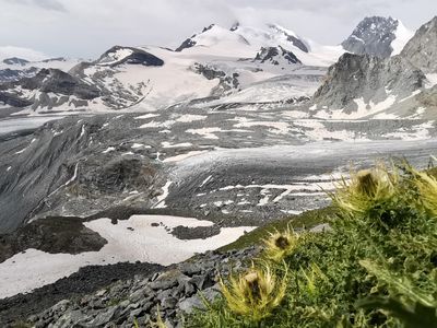 Glaciertrail