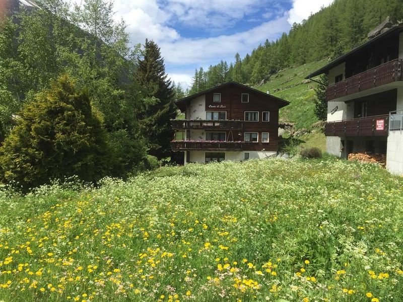 23826158-Ferienwohnung-2-Saas Grund-800x600-1