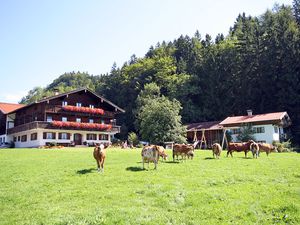 Bauernhof Ertlhof