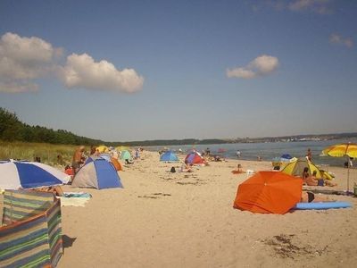 Ferienwohnung für 5 Personen (50 m²) in Sagard 8/8