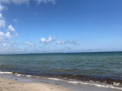 Ferienwohnung für 3 Personen (49 m²) in Sagard 3/10