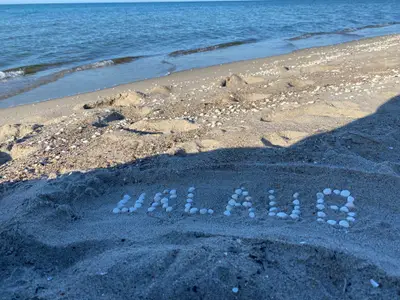 Ferienwohnung für 3 Personen (49 m²) in Sagard 2/10