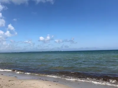 Ferienwohnung für 3 Personen (49 m²) in Sagard 3/10