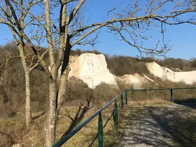 Ferienwohnung für 3 Personen (43 m²) in Sagard 4/10