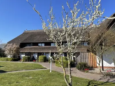 Ferienwohnung für 4 Personen (52 m²) in Sagard 2/10