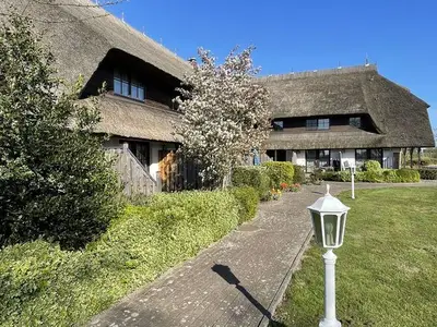 Ferienwohnung für 4 Personen (52 m²) in Sagard 4/10