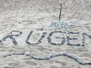 Ferienwohnung für 3 Personen (43 m²) in Sagard