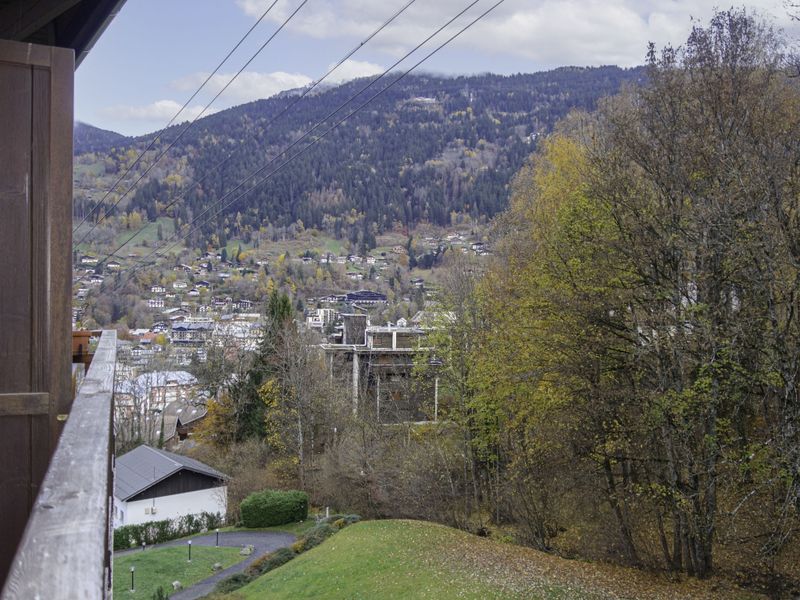 23860718-Ferienwohnung-4-Saint-Gervais-les-Bains-800x600-2