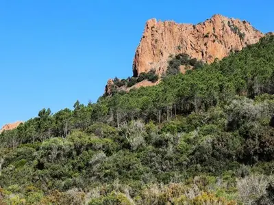 Ferienwohnung für 7 Personen (45 m²) in Saint-Raphaël 8/10