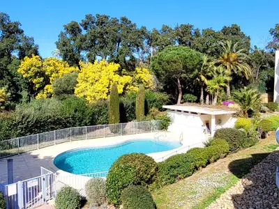 Poolblick