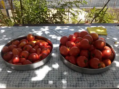 Ferienwohnung für 4 Personen in Sali 7/10