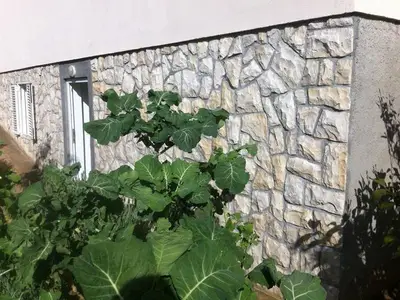 Ferienwohnung für 5 Personen in Sali 4/10