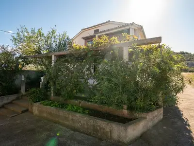 Ferienwohnung für 3 Personen in Sali 7/10