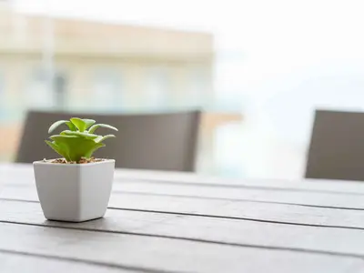 Ferienwohnung für 4 Personen (40 m²) in Salou 5/10