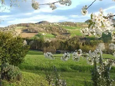 Bild 7