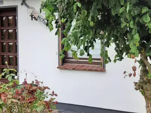 Ferienwohnung für 5 Personen (76 m²) in Salzhausen