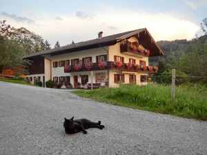 Ferienwohnung für 4 Personen (60 m&sup2;) in Samerberg