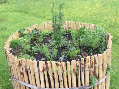 Gemüse, Salat & Kräuter frisch aus dem Garten