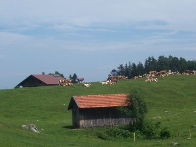 HeubergAlm