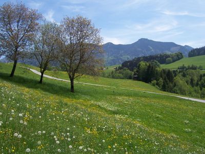 bei Brunn im Frühling