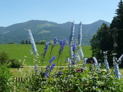 Bergblick vom Haus