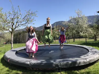 Das Trampolin