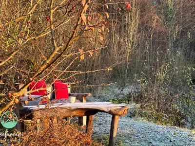 Garten mit Holzbank, Feuerschale und Bach