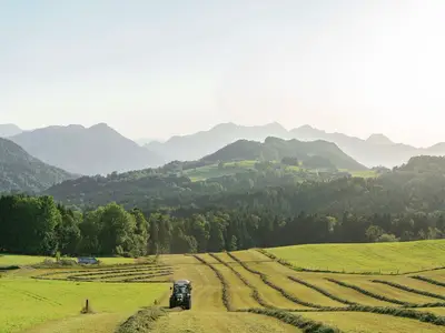 unsere herrliche Aussicht