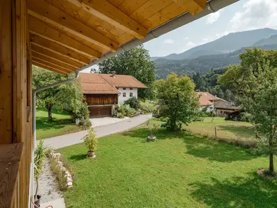Blick in den Garten