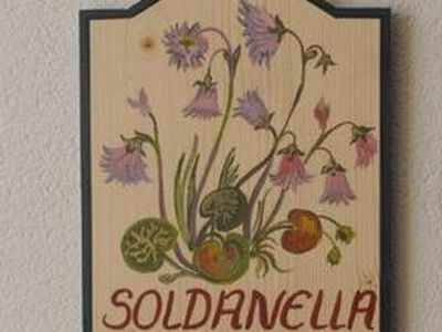 Name Soldanella