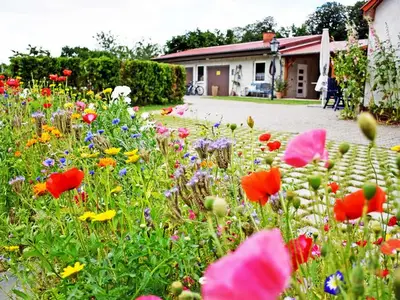 Ferienwohnung für 4 Personen (60 m²) in Samtens 5/10