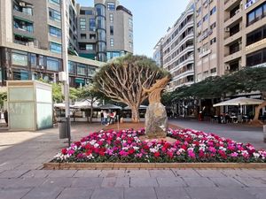 Ferienwohnung für 3 Personen (40 m²) in San Andres (Santa Cruz De Tenerife)