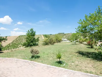 ViewSummer