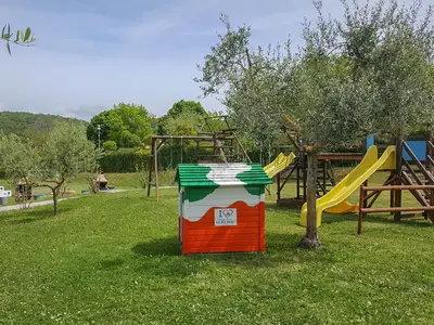activities