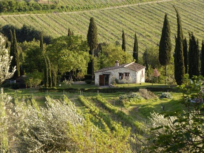 23043481-Ferienwohnung-2-San Gimignano-800x600-0