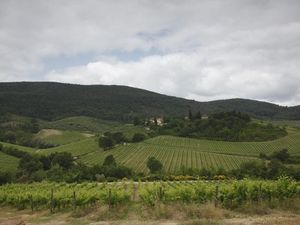 23043481-Ferienwohnung-2-San Gimignano-300x225-5