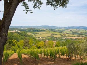 24000857-Ferienwohnung-5-San Gimignano-300x225-0