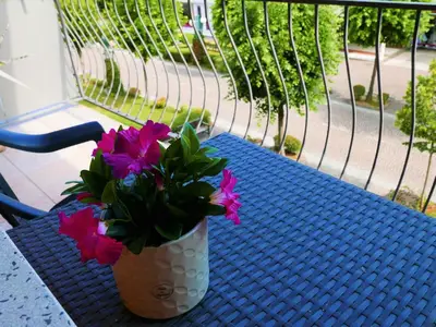 Ferienwohnung für 5 Personen (48 m²) in San Michele Al Tagliamento 3/10