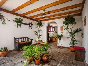 23518053-Ferienwohnung-2-San Miguel de Abona-300x225-4