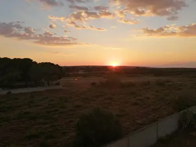 ViewSummer