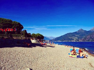 Terrassengarten mit Picknicktisch, Palme und stimmungsvoller Beleuchtung