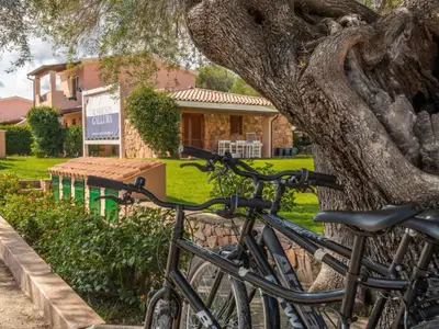 Ferienwohnung für 6 Personen (38 m²) in San Teodoro 1/10