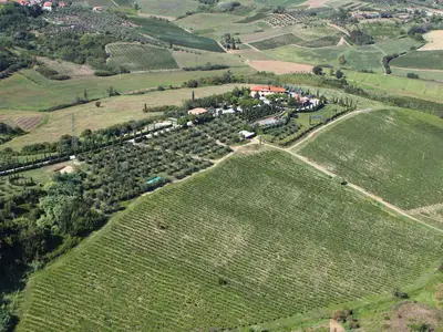 Ferienwohnung für 3 Personen (45 m²) in San Zio 3/10