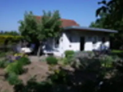 Ferienwohnung für 3 Personen (40 m²) in Sangerhausen 7/10
