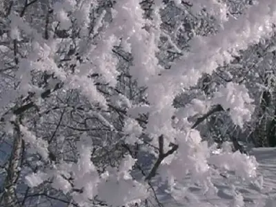 Ferienwohnung für 5 Personen in Sankt Andrä im Lungau 7/10