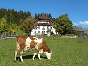 Ferienwohnung für 8 Personen (80 m²) in Sankt Andrä im Lungau