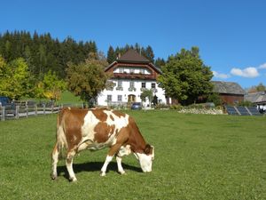 Ferienwohnung für 2 Personen (50 m&sup2;) in Sankt Andrä im Lungau