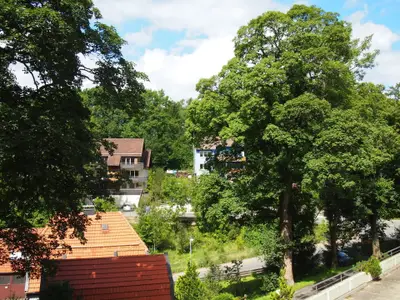 Ferienwohnung für 3 Personen (39 m²) in Sankt Andreasberg 5/10