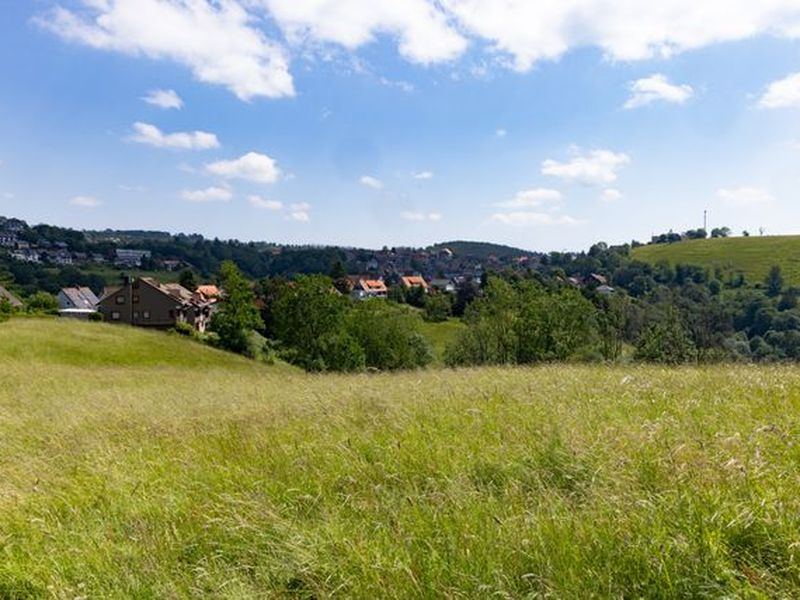 23974622-Ferienwohnung-2-Sankt Andreasberg-800x600-1