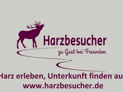 Ferienwohnung für 4 Personen (41 m²) in Sankt Andreasberg 2/10